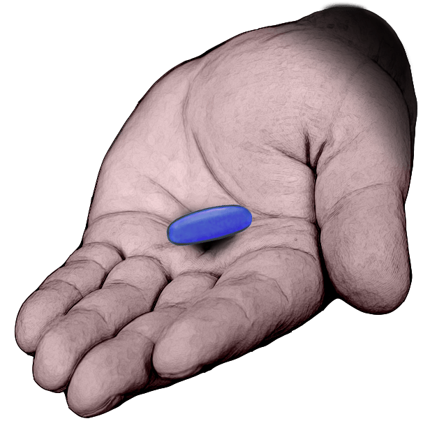 Return to the Matrix