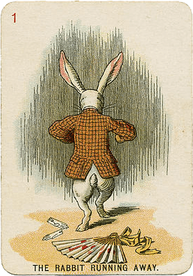 About The Rabbit Hole